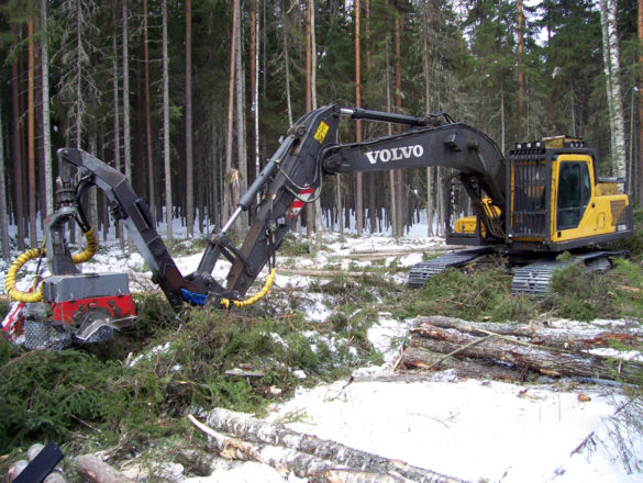 Заготовка древесины харвестером Volvo