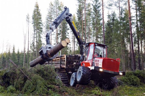 Лесозаготовка — основа экономики в районах Поморья