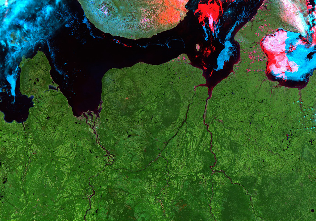 Снимок со спутника Modis севера Архангельской области, каналы подобраны так, чтобы была ярко видна растительность
