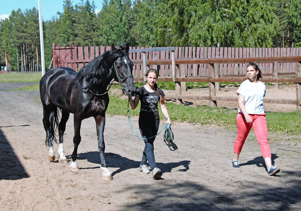 У девушек работа с лошадьми получается лучше