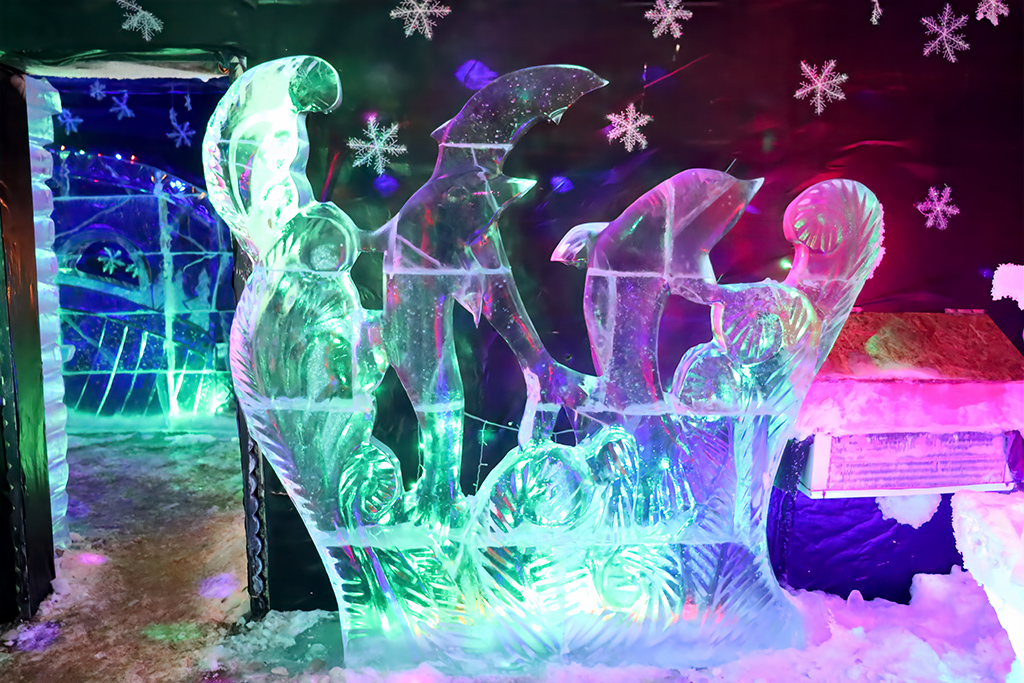 В 2015 году в экопарке «Медвежий край» открыт музей ледовой скульптуры: здесь круглый год работают выставка ледовых композиций и фотовыставка о Каргопольском фестивале снежной скульптуры