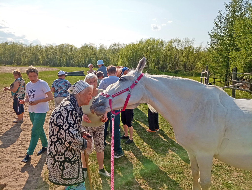 Каждую неделю проживающие в пансионате «Забота» занимаются иппотерапией в Клубе любителей лошадей
